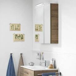 TIGER S-line Spiegelkast 60cm Chalet Eiken -Mode Woonwinkel 123 1944