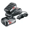 Bosch 18V 2 Accu's 2.5Ah + Oplader Voor Het 'Power For All' Accuplatform Van Bosch, Gardena En O.a. Gloria